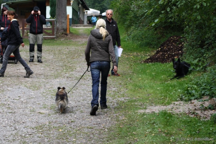 Herbstprüfung 2013