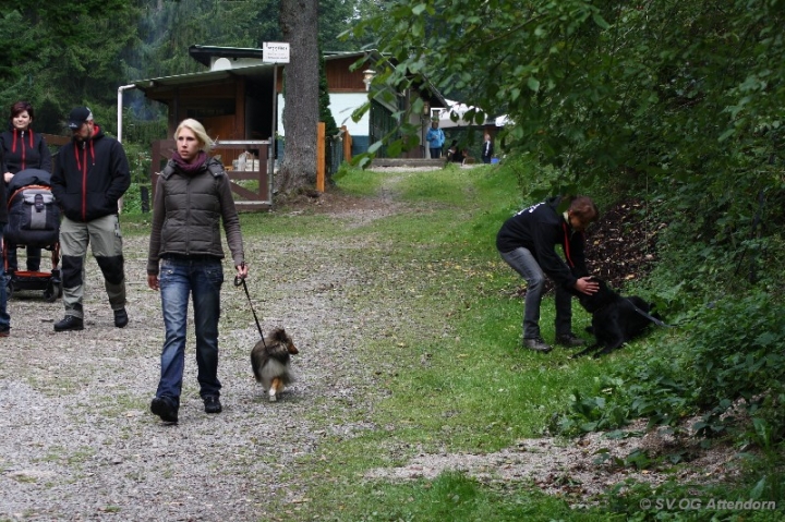 Herbstprüfung 2013