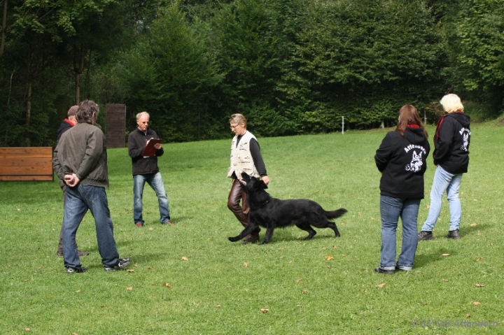 Herbstprüfung 2013