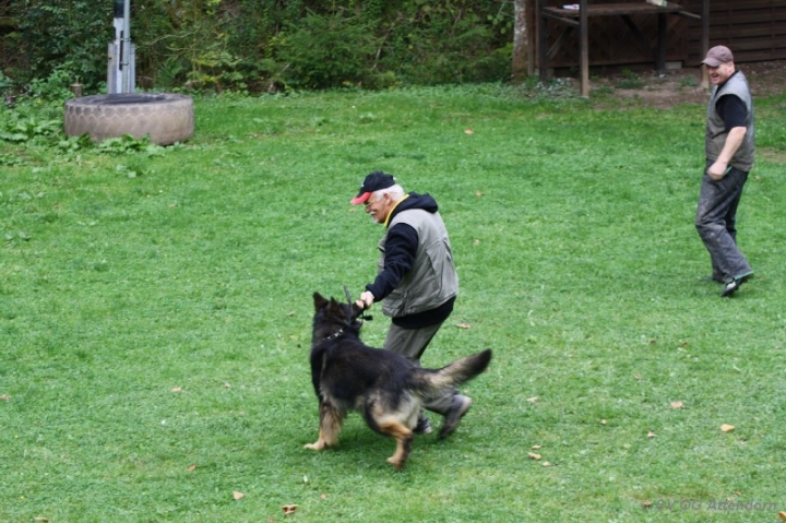 Herbstprüfung 2013