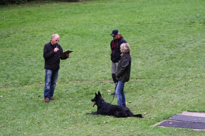 Herbstprüfung 2013