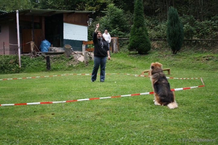 Longieren in der OG Attendorn