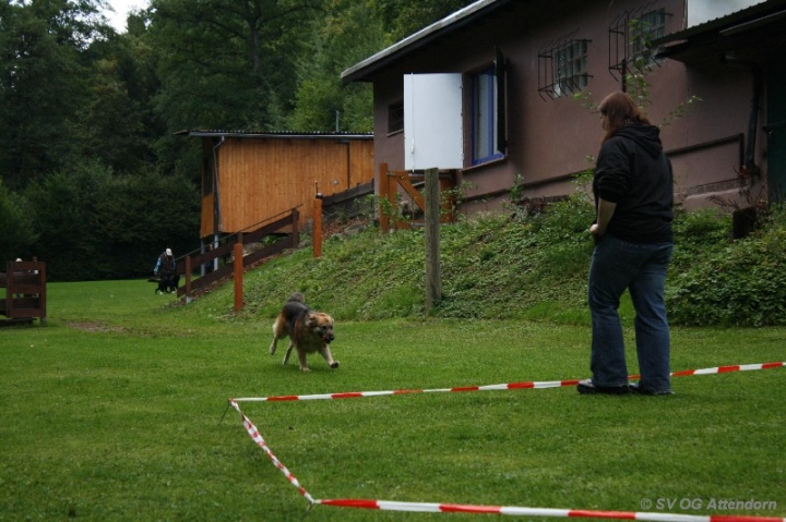 Longieren in der OG Attendorn