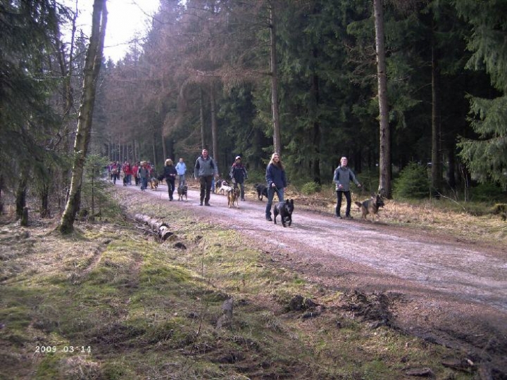 Frühere Wandertage der Ortsgruppe