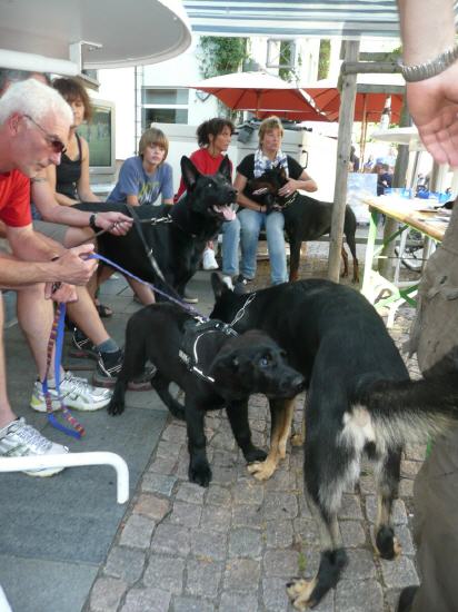 Stadtfest in Attendorn 2012