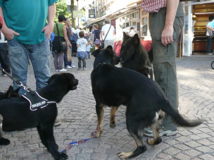 Stadtfest in Attendorn 2012