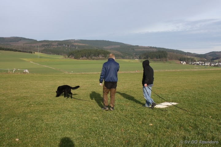 Fährten in der OG Attendorn