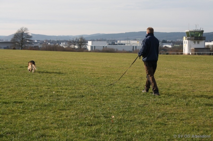 Fährten in der OG Attendorn