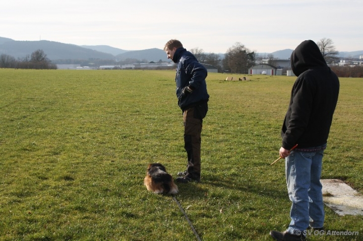 Fährten in der OG Attendorn