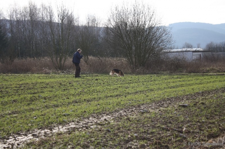 Fährten in der OG Attendorn