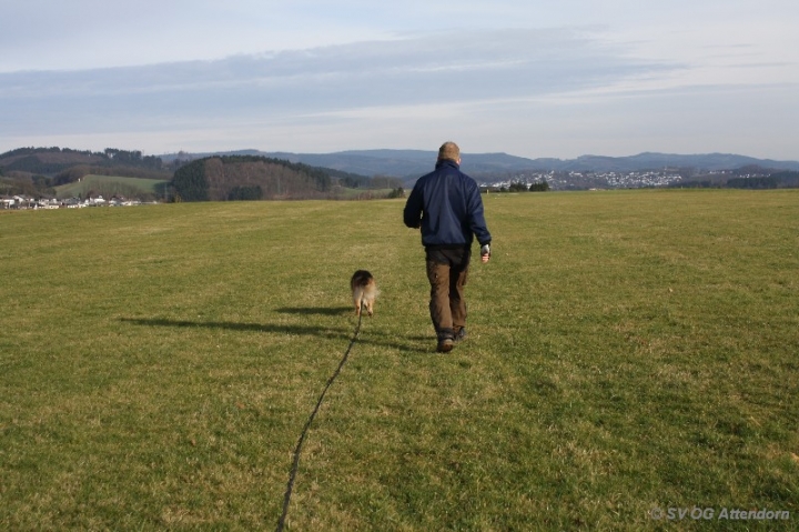 Fährten in der OG Attendorn