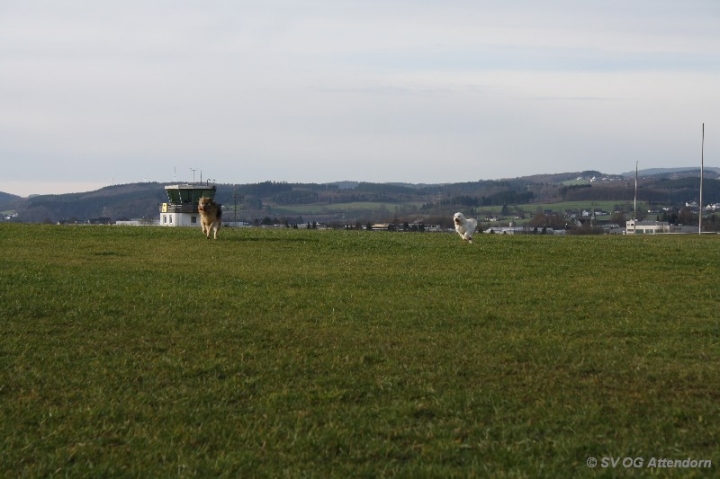 Fährten in der OG Attendorn