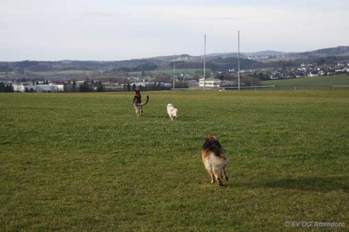 Fährten in der OG Attendorn