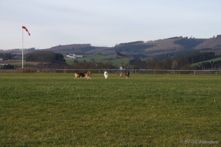 Fährten in der OG Attendorn