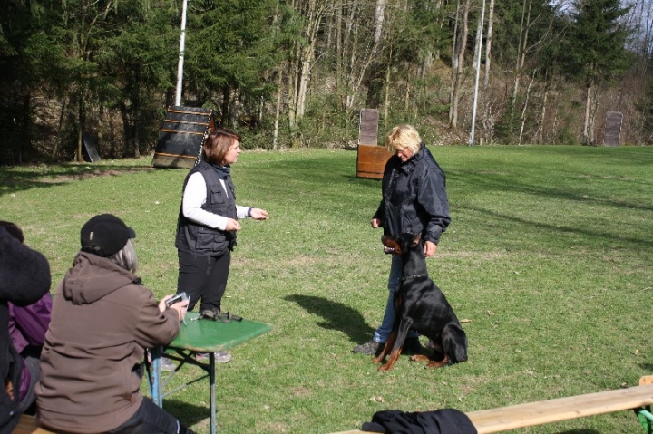 Obedience-Seminar 2013 mit Diana Ripp