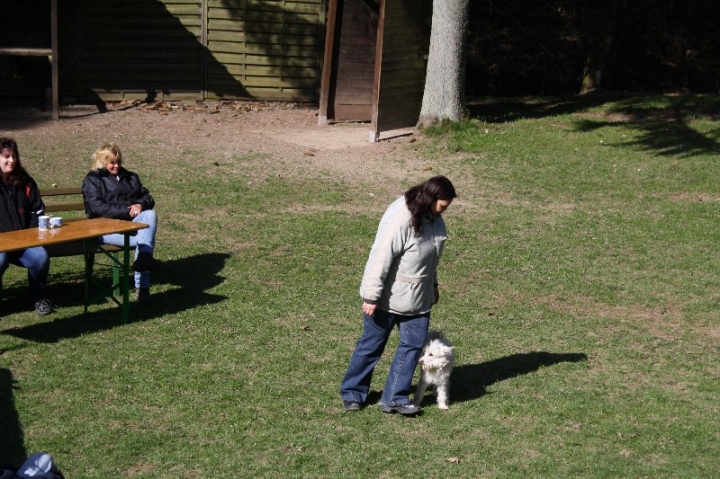 Obedience-Seminar 2013 mit Diana Ripp