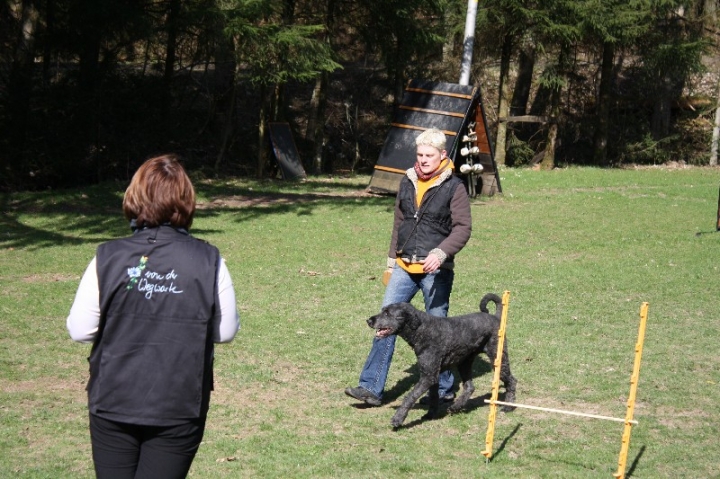 Obedience-Seminar 2013 mit Diana Ripp