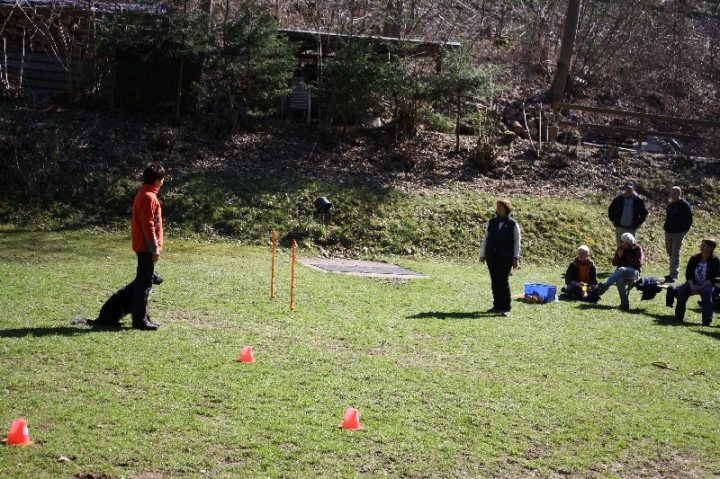 Obedience-Seminar 2013 mit Diana Ripp