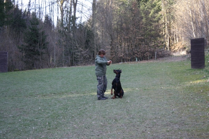 Ein ganz normaler Trainingstag