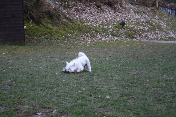 Ein ganz normaler Trainingstag