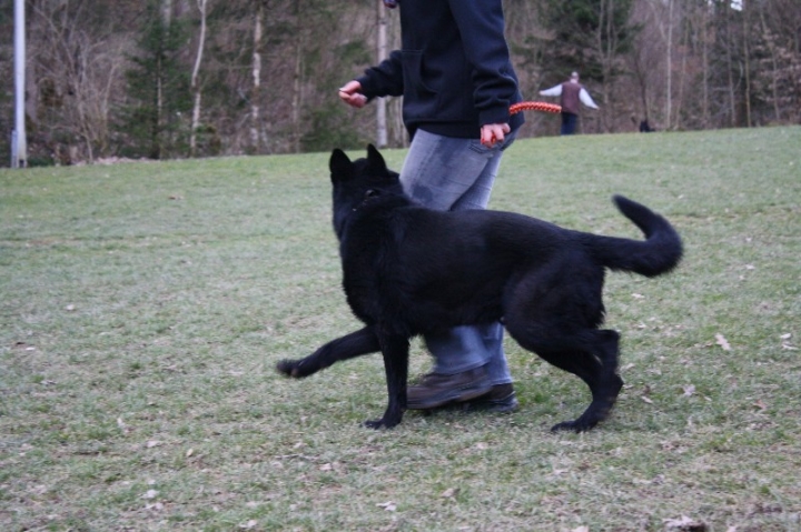 Ein ganz normaler Trainingstag