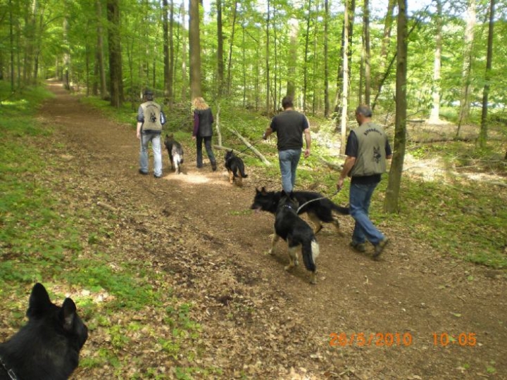 Frühere Wandertage der Ortsgruppe