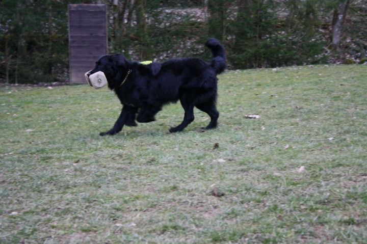 Ein ganz normaler Trainingstag