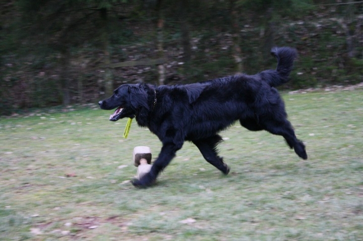 Ein ganz normaler Trainingstag