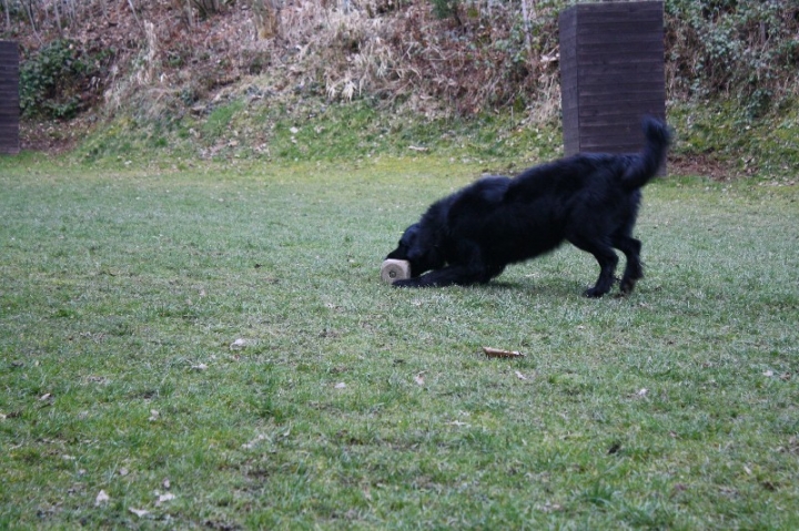 Ein ganz normaler Trainingstag