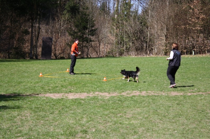 Obedience-Seminar 2013 mit Diana Ripp