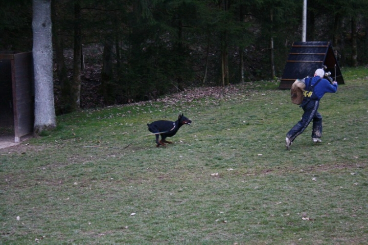 Ein ganz normaler Trainingstag