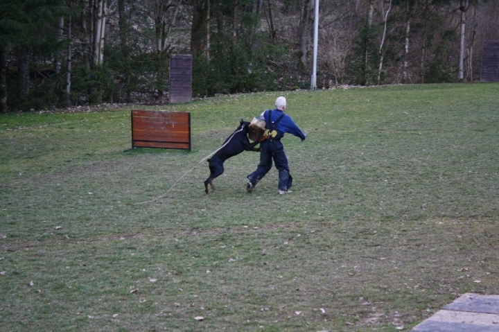 Ein ganz normaler Trainingstag