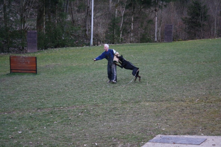 Ein ganz normaler Trainingstag