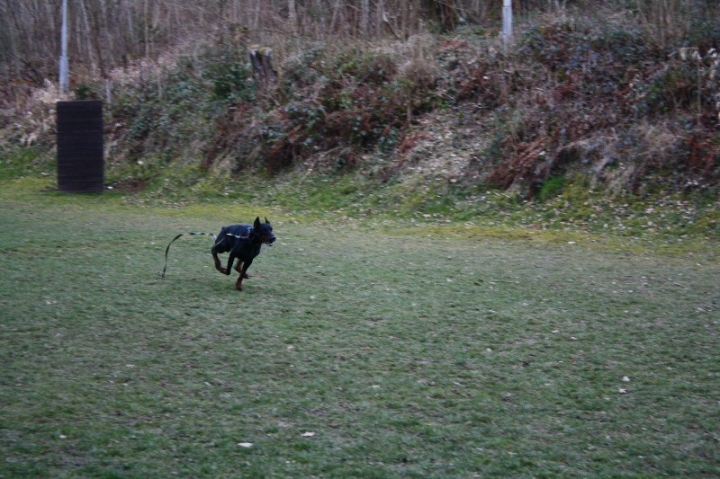 Ein ganz normaler Trainingstag