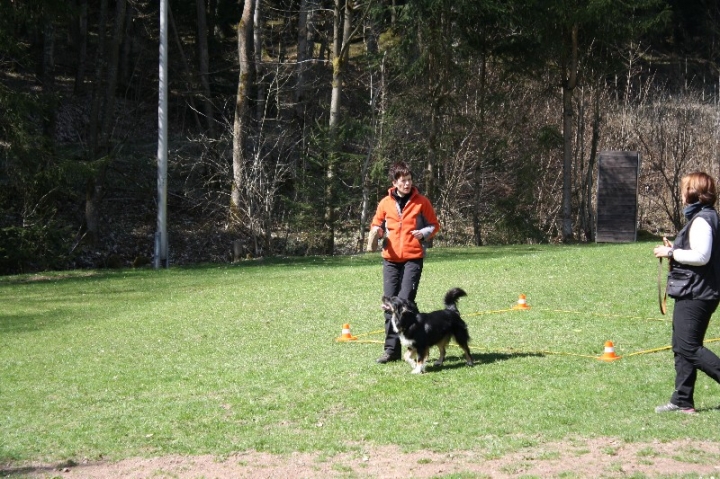 Obedience-Seminar 2013 mit Diana Ripp