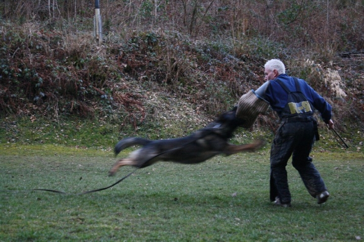 Ein ganz normaler Trainingstag