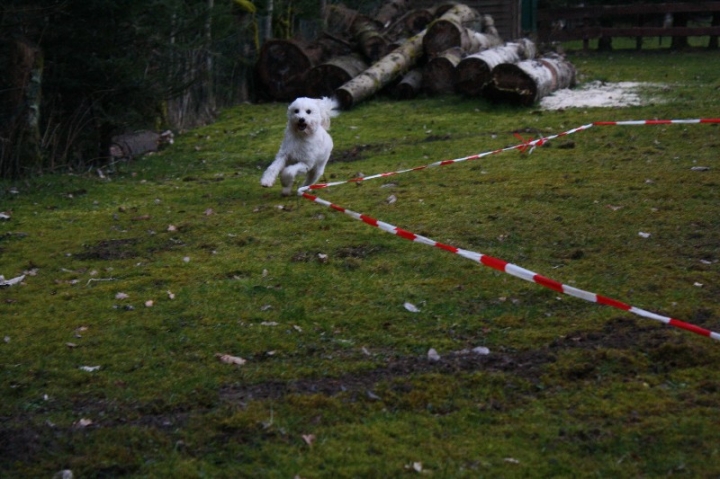 Ein ganz normaler Trainingstag