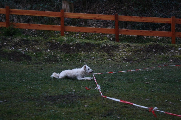 Ein ganz normaler Trainingstag