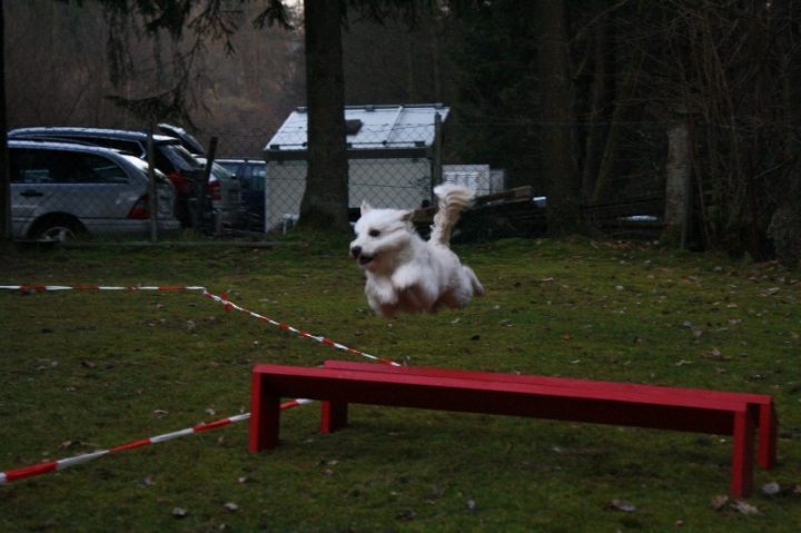 Ein ganz normaler Trainingstag