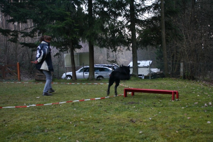 Ein ganz normaler Trainingstag