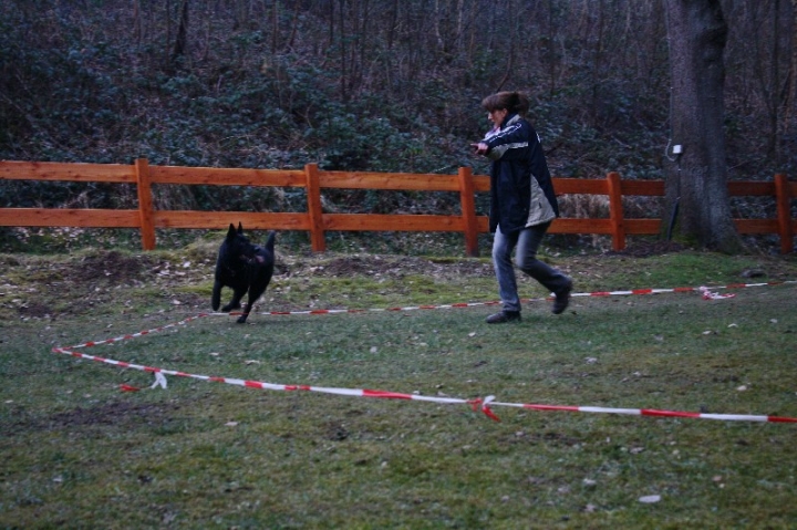 Ein ganz normaler Trainingstag