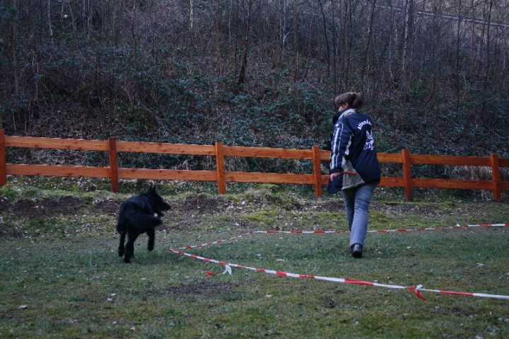 Ein ganz normaler Trainingstag