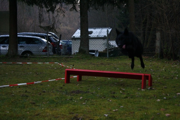 Ein ganz normaler Trainingstag