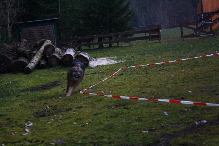 Ein ganz normaler Trainingstag