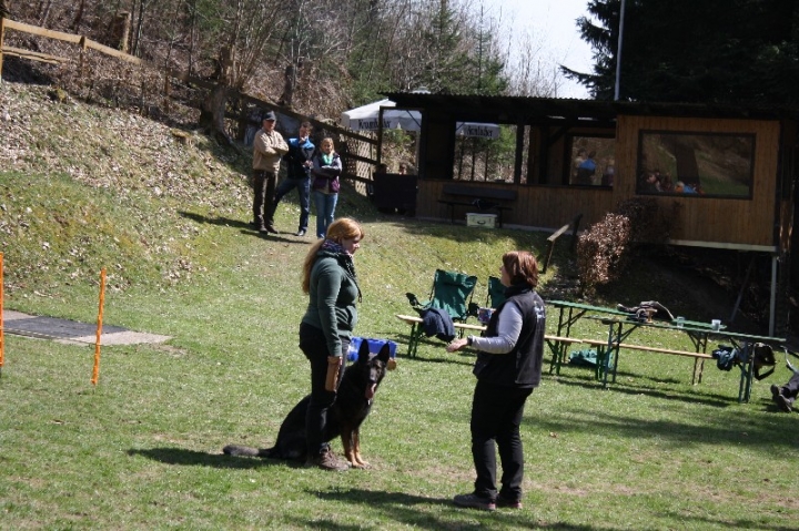 Obedience-Seminar 2013 mit Diana Ripp