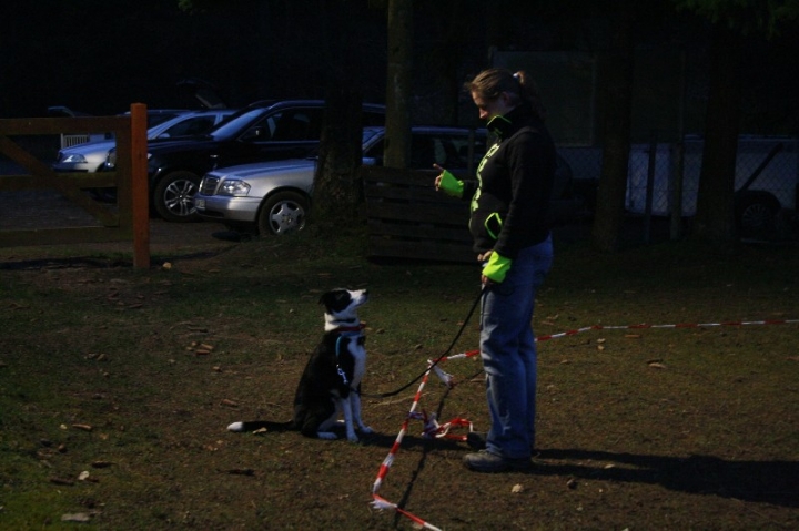 Ein ganz normaler Trainingstag