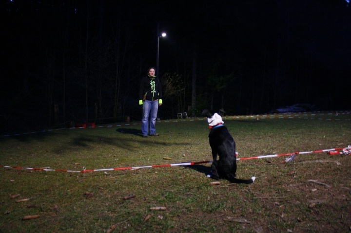 Ein ganz normaler Trainingstag