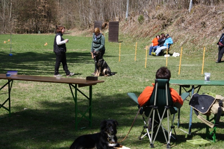 Obedience-Seminar 2013 mit Diana Ripp