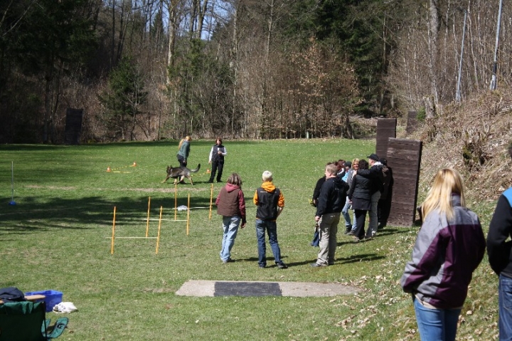 Obedience-Seminar 2013 mit Diana Ripp