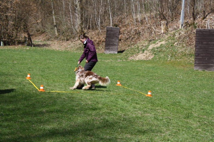 Obedience-Seminar 2013 mit Diana Ripp